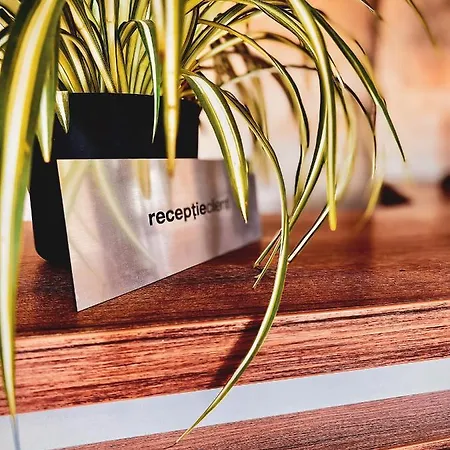 Maison d'hôtes Medusa 4*